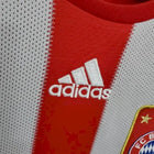 Retro Bayern Munich Home Shirt 2010/11